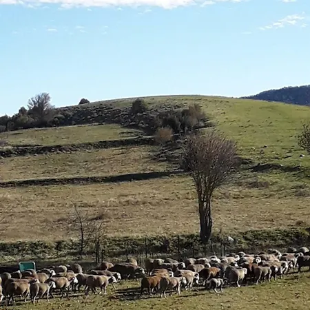Des Cretes Du Verdon