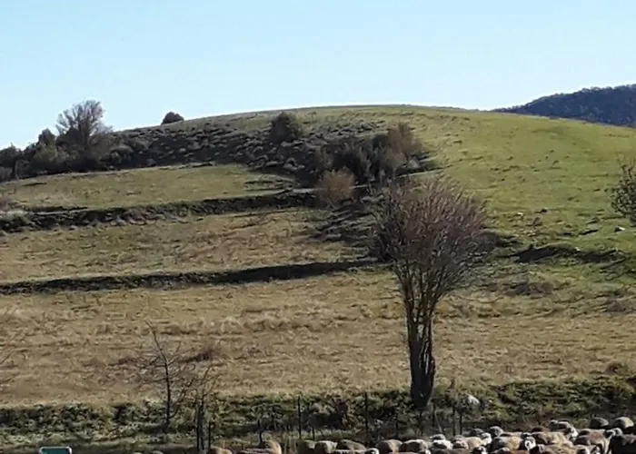 Restaurant Des Cretes Du Verdon